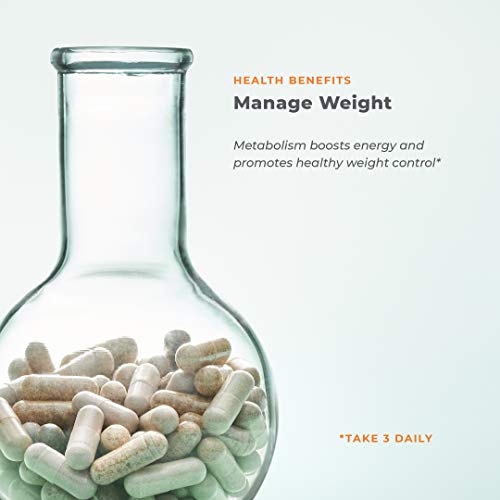 Metabolism - Weight Control Support & Energy Boosting Supplement - Natural Appetite LifeSeasons