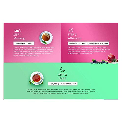 Hyleys Detox Tea for Cleanse and Weight Loss - 28 Day Kit - 84 Tea Bags (9 Pack) HYLEYS