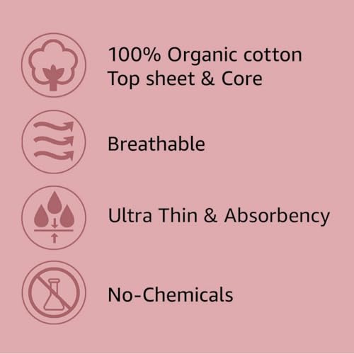Livlit Ultra Thin Panty Liners Sanitary Pads, 100% Certified Organic Cotton from Texas, Light Absorbency LIVLIT