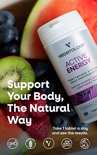 Vegetology Energy Supplements – Iron, Vitamin C & B2, B12, Folate & More – Vitamin Supple VEGETOLOGY
