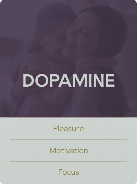 AshwaMag, 5 Clinically Studied Ingredients: Organic & Patented Ashwagandha, 2 Forms AshwaMag