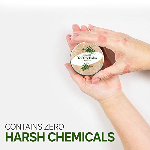 TEA TREE OIL BALM -100% All Natural | Great Cream for Soothing Irritations like Eczema Chamuel