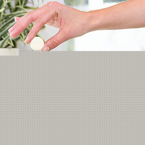 Nuun Sport Electrolyte Tablets for Proactive Hydration, Mixed Citrus Berry Flavors, 4 Pack Nuun