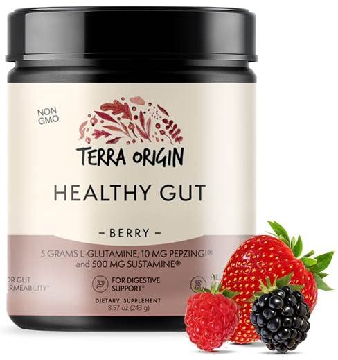 TERRA ORIGIN Healthy Gut Powder (Berry Flavor) |30-Servings with L-Glutamine, Zinc TERRA ORIGIN