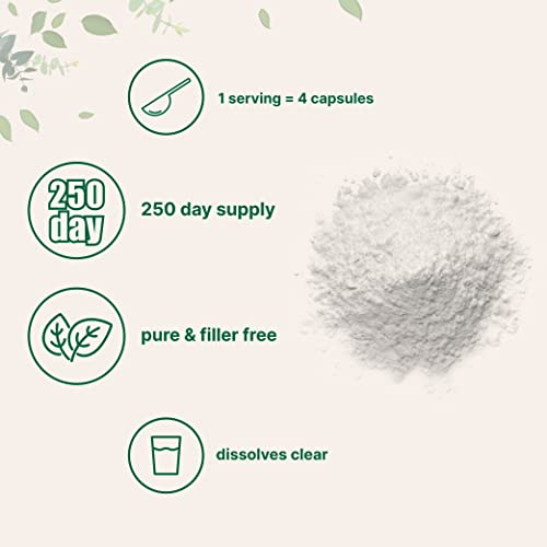 Pure L Serine Powder, 500 Grams (250 Day Supply), Filler Free, Supports Production Micro Ingredients