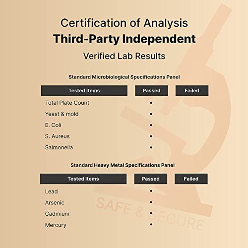 High Potency Zinc Picolinate 100mg - 240 Capsules, Bioavailable Form of Zinc 