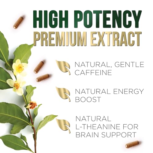 Nature's Green Tea Extract Pills 98% Standardized EGCG 1000mg - 3X Strength for Natural Nature's Nutrition