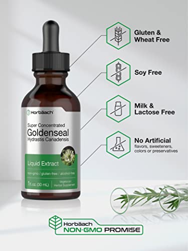 Goldenseal Root Extract Liquid | 1 fl oz Tincture | Super Concentrated | Alcohol Free Horbäach