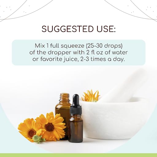 Barberry Root B120 Alcohol-Free Herbal Extract Tincture, Concentrated Liquid Drops Natural Barberry HerbEra