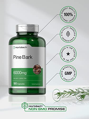 Pine Bark Extract | 6000 mg | 180 Capsules | Standardized to Contain 380 mg Proanthocyan Horbäach