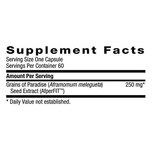 BodyDynamix Slim NS | Non-Stim Thermogenic | 60 Count GNC