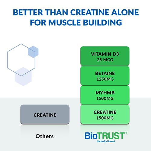 BioTrust Ageless Muscle Builder - Micronized Creatine Monohydrate Powder with HMB BioTrust
