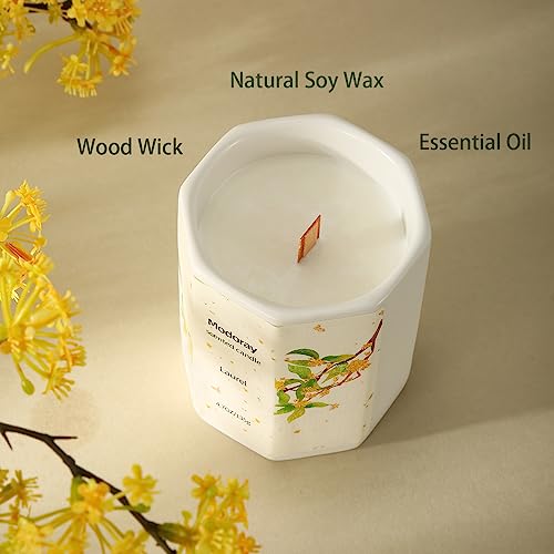 Modoray Scented Candle, Candles for Home Scented, Aromatherapy Candle，Long Lasting Natural Modoray