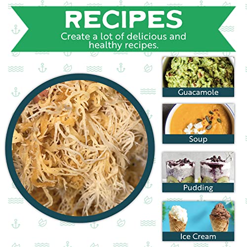 Herbal Vineyards Natural Organic Wildcrafted Gold Raw Sea Moss Gel for Immune Support Herbal Vineyards