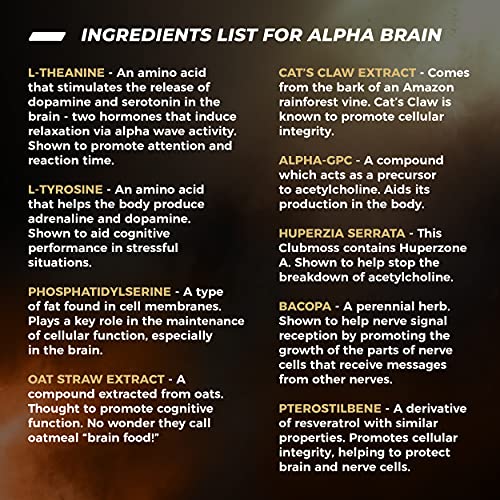 ONNIT Alpha Brain (120ct) - Over 1 Million Bottles Sold - Premium Nootropic Brain Sup ONNIT