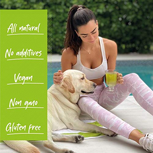 Dr. Zisman ZT Slimming - Matcha-Coconut Detox Blend, Weight Loss Tea with Antioxidant Effects Dr. Zisman ZT Slimming Tea