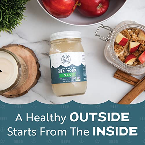 Herbal Vineyards Natural Organic Wildcrafted Gold Raw Sea Moss Gel for Immune Support Herbal Vineyards