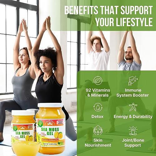 EverSmith Organics - Wildcrafted Irish Sea Moss Gel | Made in USA | Rich in Vitamins EverSmith Organics