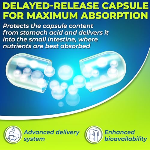 Probiotics with Digestive Enzymes and Prebiotic for Women and Men - 3-In-1 Vegan Probiotic SUPPLEMENTS STUDIO