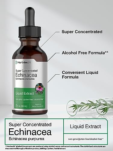 Echinacea Drops Liquid Extract | 2 fl oz | Super Concentrated Tincture | Alcohol Free Horbäach