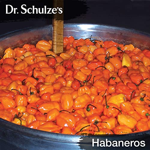 Brain Formula 2 oz. - Vegan and Wild-Harvested | Stimulates Circulation and and Improved Dr. Schulze's