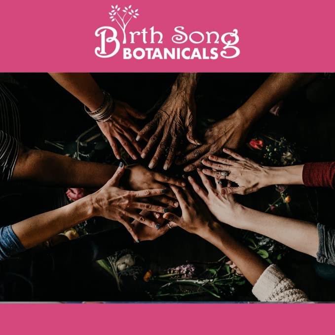 Birth Song Botanicals Menstrual Harmony Tincture, Herbal Period Symptom Support Birth Song Botanicals