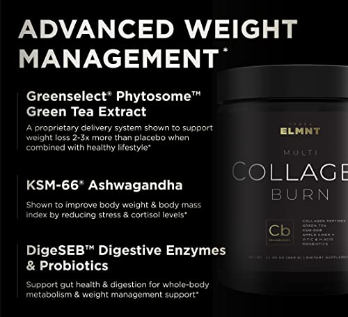 Super Collagen Burn - Premium Multi Collagen for Women w. ACV, Hyaluronic Acid, KSM66 TERRA ELMNT