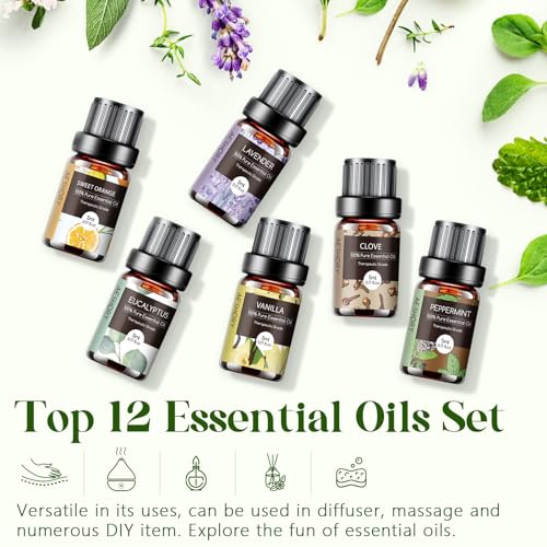 Essential Oils Set - 12 Pcs Aromatherapy Essential Oil Kit for Diffuser, Humidifier, Aromatherapy, Massage Aeshory