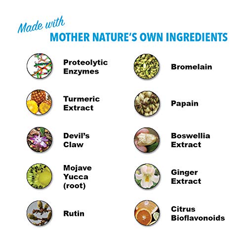 HEAL-N-SOOTHE Natural Joint Support Supplement - Proteolytic Enzymes for Maximum HEAL-N-SOOTHE