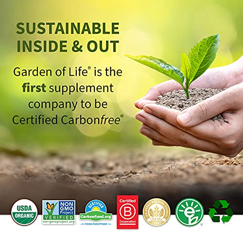 Garden of Life Perfect Food Super Green Formula - 14 Servings | 45 Superfoods, Greens Garden of Life