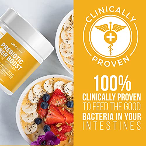 GOBIOTIX Fiber Supplement - Prebiotic Soluble Fiber Powder, Supports Gut Health GOBIOTIX