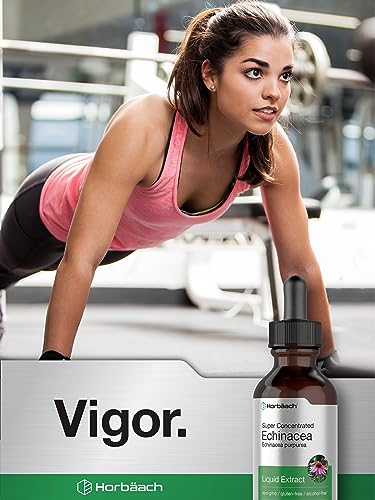 Echinacea Drops Liquid Extract | 2 fl oz | Super Concentrated Tincture | Alcohol Free Horbäach