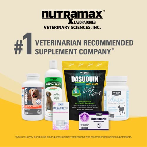 Nutramax Laboratories Dasuquin with MSM Joint Health Supplement for Large Dogs Nutramax Laboratories