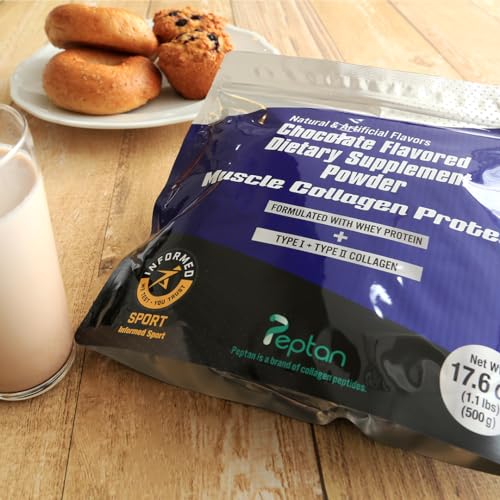 Muscle Colllagen Protein Collagen Peptides Powder Chocolate Flavored Dietary Supplement Muscle Collagen