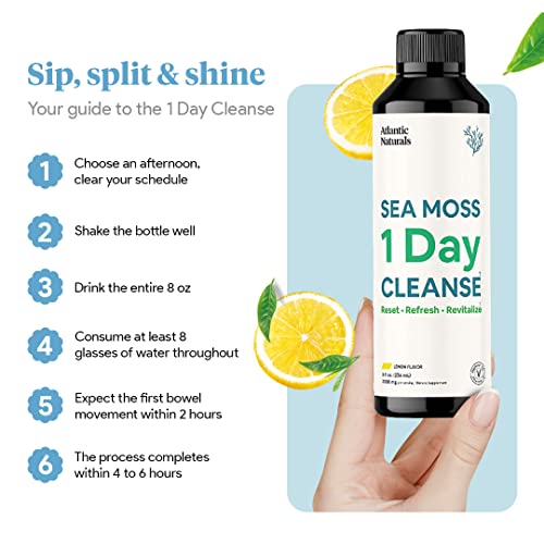 Sea Moss 1 Day Cleanse - Full Body Detox to support bowel movements, Kidney Health Atlantic Naturals