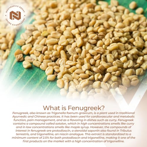 Nootropics Depot Fenugreek Extract Capsules | 500mg | 60 ct | 2.5% Trigonelline Nootropics Depot