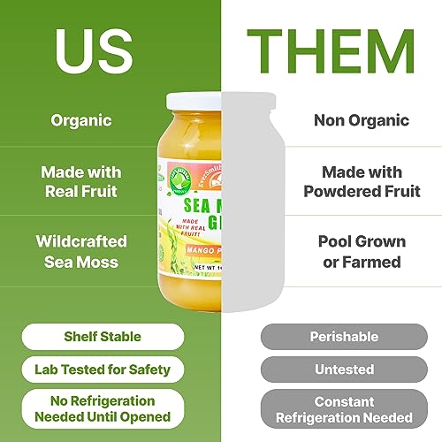 EverSmith Organics - Wildcrafted Irish Sea Moss Gel | Made in USA | Rich in Vitamins EverSmith Organics