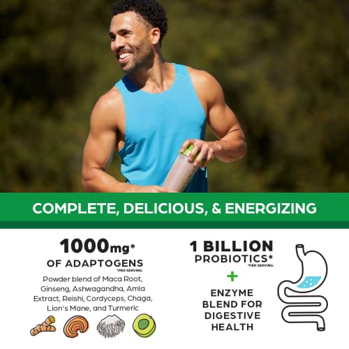 Orgain Organic Perfect Meal Replacement Protein Powder, Chocolate - 25g Plant Based Orgain