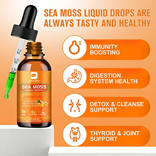 B BEWORTHS Sea Moss Liquid Drops - Organic Irish Sea Moss Raw Gel with Burdock Root B BEWORTHS