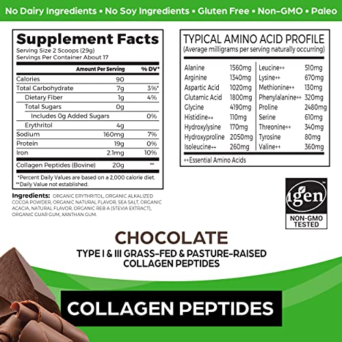 Orgain Hydrolyzed Collagen Powder, 20g Grass Fed Collagen Peptides, Chocolate Orgain
