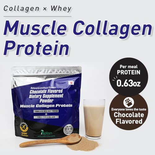 Muscle Colllagen Protein Collagen Peptides Powder Chocolate Flavored Dietary Supplement Muscle Collagen