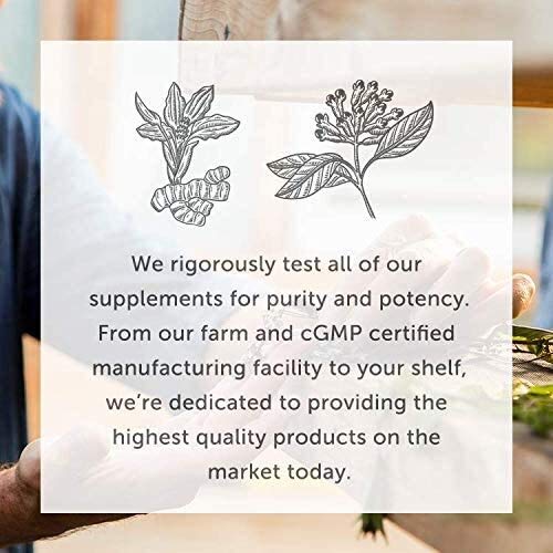 Global Healing Lithium Orotate Brain Health Supplement - Supports Mood