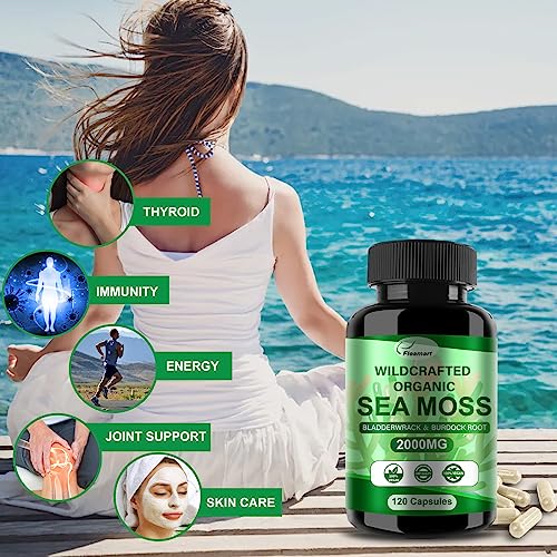Fleamart 2 Pack Irish Sea Moss Capsules 120ct Raw Organic Sea Moss Wildcrafted Bladder Fleamart