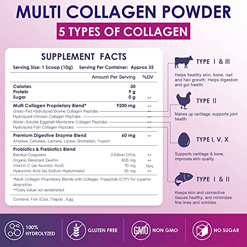 NATURE TARGET Multi Collagen Peptides Powder - Type I, II, III, V, X - Hydrolyzed Collagen NATURE TARGET