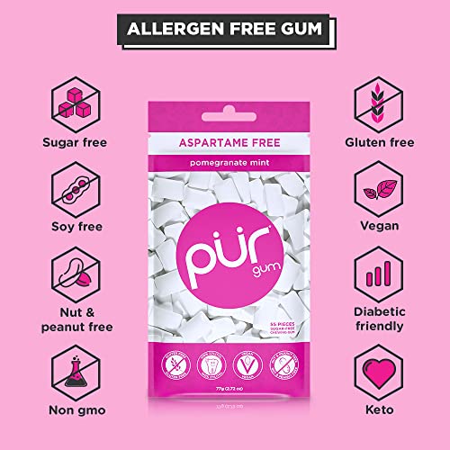 PUR Gum | Aspartame Free Chewing Gum | 100% Xylitol | Natural Pomegranate PUR