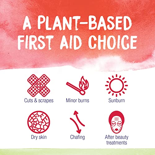 Boiron Calendula Cream for First Aid, Minor Burns, Cuts, Scrapes, Insect Bits and Sunburn - 2.5 oz Boiron