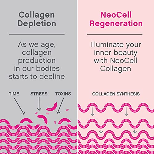 NeoCell Super Collagen Powder, Collagen Plus includes Vitamin C & Hyaluronic Acid NeoCell