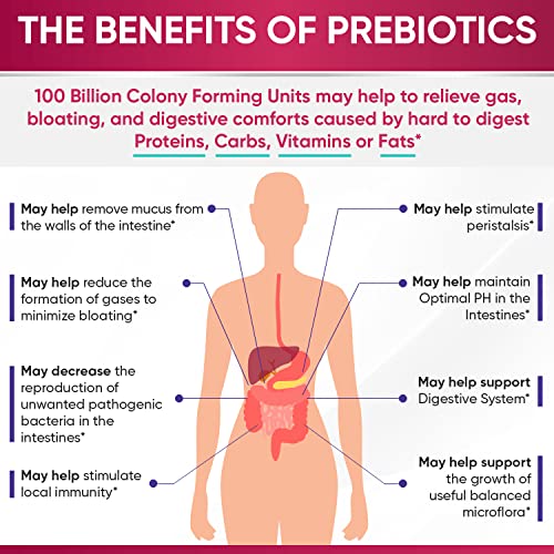 Dr. Formulated Raw Probiotics for Women 100 Billion CFUs with Prebiotics Wholesome Wellness