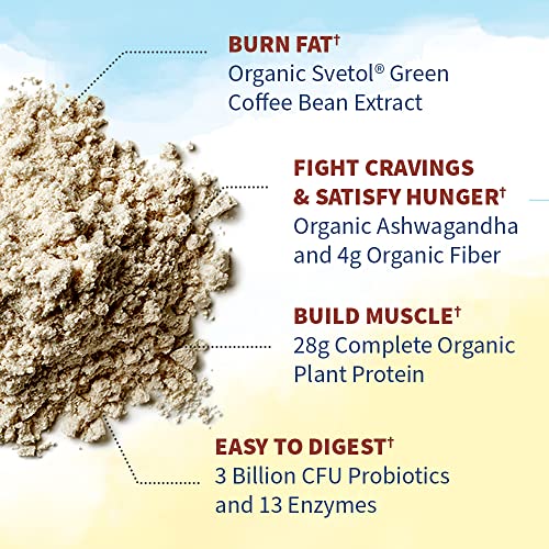 Garden of Life Raw Organic Fit Vegan Protein Powder Coffee, 28g Plant Based Protein Garden of Life