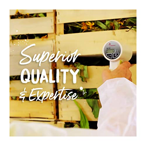 Boiron Histaminum Hydrochloricum 6C 80 Pellets Homeopathic Medicine for Allergy Relief Boiron